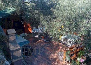 34 - Terreno agricolo Via Monsignore Daffra 40, Ventimiglia - foto 4