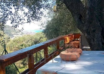 35 - Terreno agricolo Via Monsignore Daffra 40, Ventimiglia - foto 5