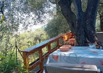 36 - Terreno agricolo Via Monsignore Daffra 40, Ventimiglia - foto 6