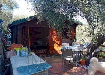 37 - Terreno agricolo Via Monsignore Daffra 40, Ventimiglia - foto 7