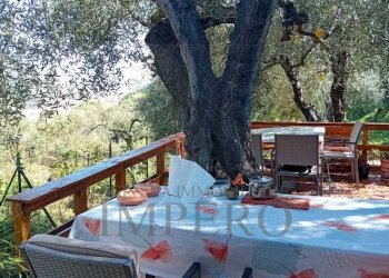 38 - Terreno agricolo Via Monsignore Daffra 40, Ventimiglia - foto 8
