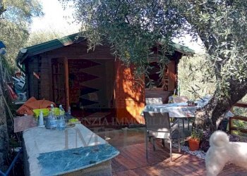 40 - Terreno agricolo Via Monsignore Daffra 40, Ventimiglia - foto 9