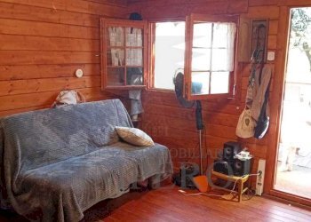 47 - Terreno agricolo Via Monsignore Daffra 40, Ventimiglia - foto 16