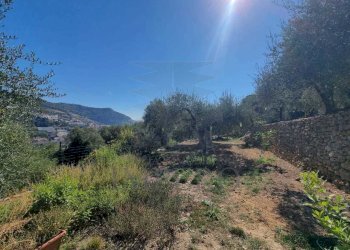 5 - Terreno agricolo Via Monsignore Daffra 40, Ventimiglia - foto 21