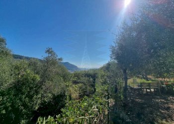 6 - Terreno agricolo Via Monsignore Daffra 40, Ventimiglia - foto 22