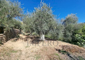7 - Terreno agricolo Via Monsignore Daffra 40, Ventimiglia - foto 23