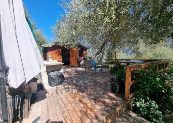 8 - Terreno agricolo Via Monsignore Daffra 40, Ventimiglia - foto 24