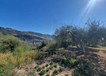 11 - Terreno agricolo Via Monsignore Daffra 40, Ventimiglia - foto 27