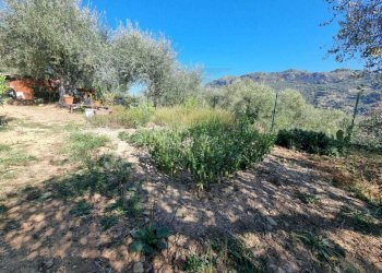 12 - Terreno agricolo Via Monsignore Daffra 40, Ventimiglia - foto 28