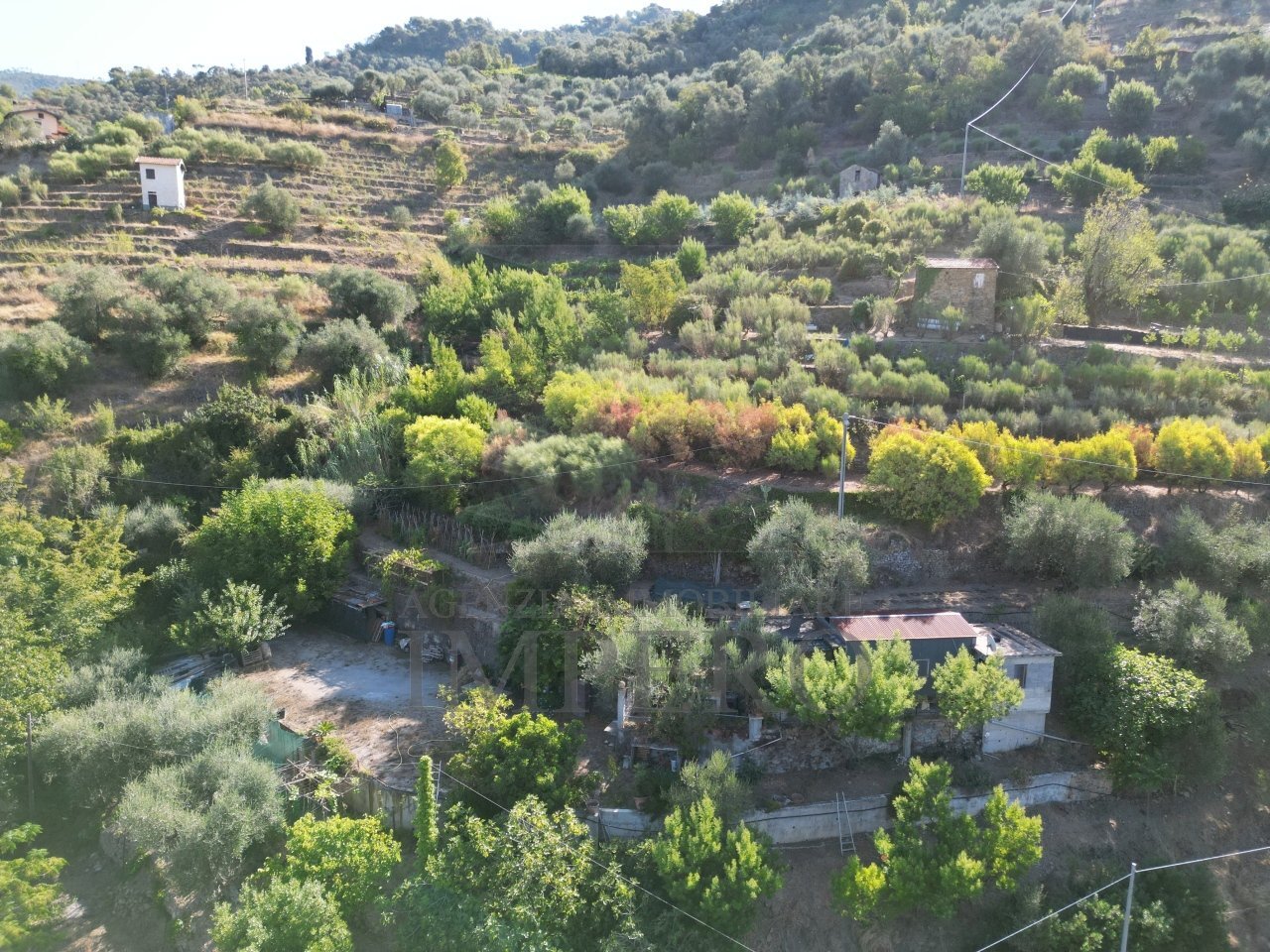 DJI_0392.JPG - Terreno agricolo via provinciale 44, San Biagio della Cima - foto 1