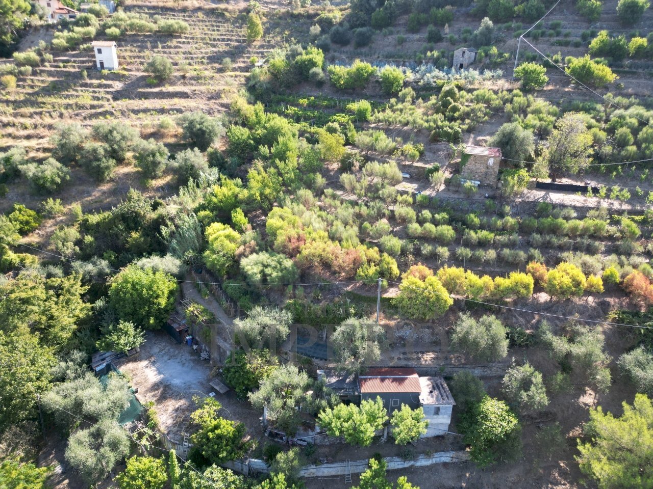 DJI_0385.JPG - Terreno agricolo via provinciale 44, San Biagio della Cima - foto 2