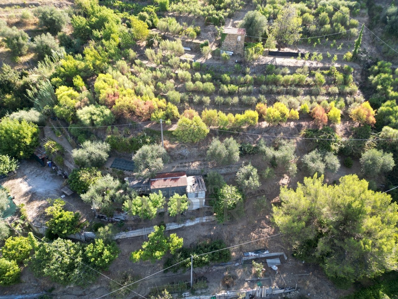 DJI_0388.JPG - Terreno agricolo via provinciale 44, San Biagio della Cima - foto 3