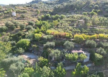 DJI_0392.JPG - Terreno agricolo via provinciale 44, San Biagio della Cima - foto 1