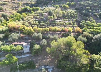DJI_0390.JPG - Terreno agricolo via provinciale 44, San Biagio della Cima - foto 5