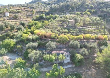 DJI_0391.JPG - Terreno agricolo via provinciale 44, San Biagio della Cima - foto 6
