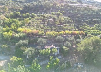 DJI_0393.JPG - Terreno agricolo via provinciale 44, San Biagio della Cima - foto 7