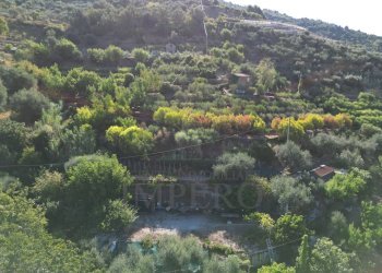 DJI_0394.JPG - Terreno agricolo via provinciale 44, San Biagio della Cima - foto 8