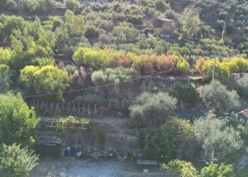 DJI_0396.JPG - Terreno agricolo via provinciale 44, San Biagio della Cima - foto 9
