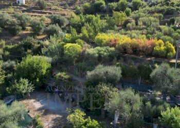 DJI_0397.JPG - Terreno agricolo via provinciale 44, San Biagio della Cima - foto 10