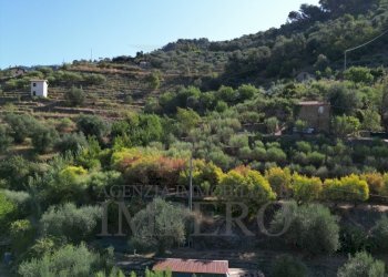 DJI_0400.JPG - Terreno agricolo via provinciale 44, San Biagio della Cima - foto 13
