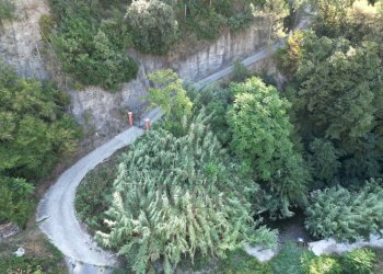 DJI_0403.JPG - Terreno agricolo via provinciale 44, San Biagio della Cima - foto 15