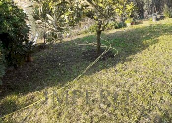 5 - Agricultural land via provinciale 44, San Biagio della Cima - photo 20