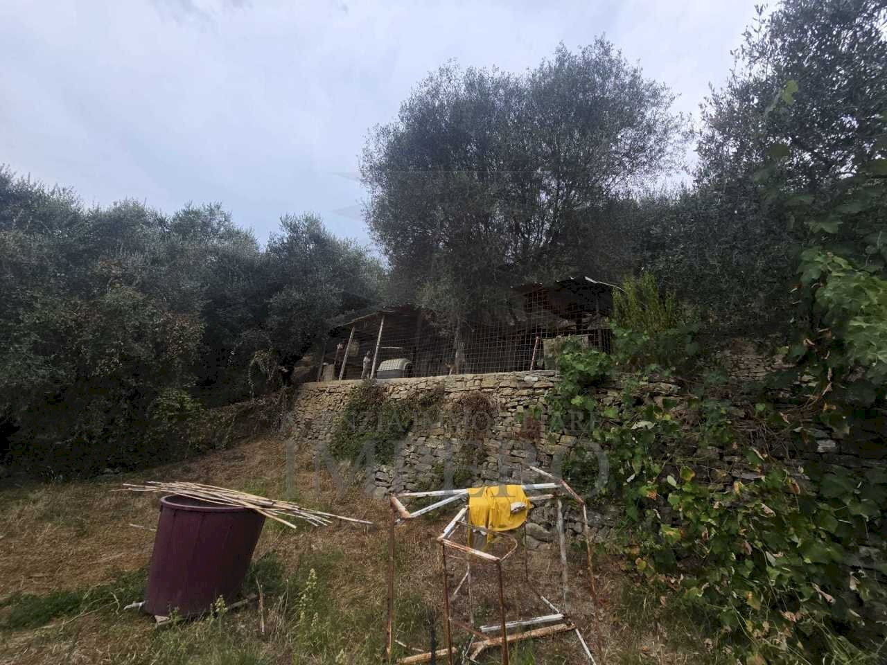 Immagine WhatsApp 2025-08-20 ore 15.01.36_4430e8aa - Rustic San Gregorio, Dolceacqua - photo 3