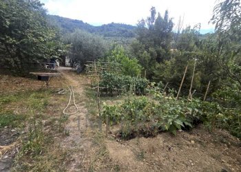 Immagine WhatsApp 2025-08-20 ore 15.01.36_84d6b104 - Rustic San Gregorio, Dolceacqua - photo 1