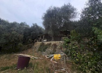 Immagine WhatsApp 2025-08-20 ore 15.01.36_4430e8aa - Rustic San Gregorio, Dolceacqua - photo 3