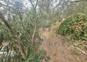 Immagine WhatsApp 2025-08-20 ore 15.01.36_cf712e5a - Rustic San Gregorio, Dolceacqua - photo 4