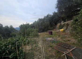 Immagine WhatsApp 2025-08-20 ore 15.01.37_1be6323d - Rustic San Gregorio, Dolceacqua - photo 5