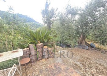Immagine WhatsApp 2025-08-20 ore 15.01.37_20e2815e - Rustic San Gregorio, Dolceacqua - photo 6