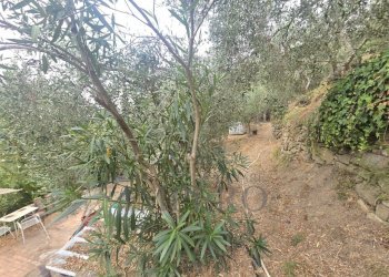 Immagine WhatsApp 2025-08-20 ore 15.01.37_994f384d - Rustic San Gregorio, Dolceacqua - photo 7