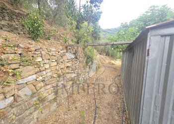 Immagine WhatsApp 2025-08-20 ore 15.01.37_e7aa58e9 - Rustic San Gregorio, Dolceacqua - photo 8