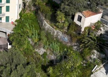 terreno - Terreno agricolo Corso Mentone 37, Ventimiglia - foto 6