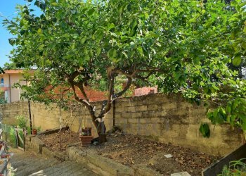 esterno - Trilocale Via Poggio Ponente 41, Vallecrosia - foto 20