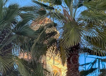 vista - Quadrilocale Vico Hanbury 7, Ventimiglia - foto 13