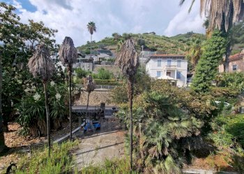 giardino - Villa Corso Nizza 37, Ventimiglia - foto 10