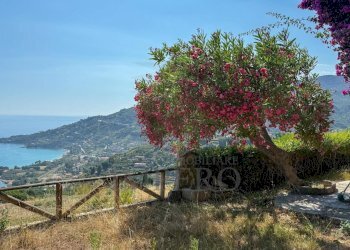 giardino - Bilocale Via alle Ville, Ventimiglia - foto 14