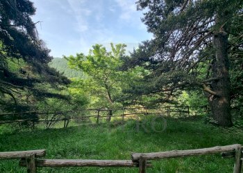 terreno - Baita Alta Via dei Monti Liguri 11, Rocchetta Nervina - foto 26