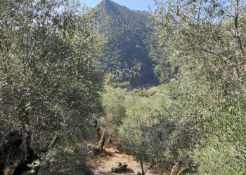 Rustico Località Para, Airole - foto 9