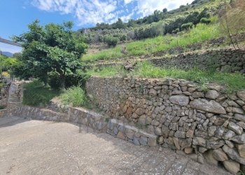 terreno - Terreno agricolo Via Anacleto Hughes 22/A, Ventimiglia - foto 8