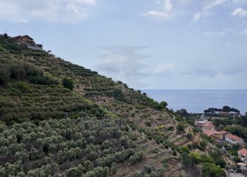 drone - Terreno agricolo Via Anacleto Hughes 22/A, Ventimiglia - foto 12