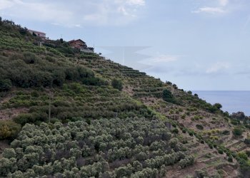 drone - Terreno agricolo Via Anacleto Hughes 22/A, Ventimiglia - foto 13