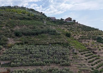 drone - Terreno agricolo Via Anacleto Hughes 22/A, Ventimiglia - foto 17