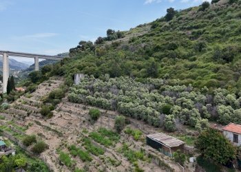 drone - Terreno agricolo Via Anacleto Hughes 22/A, Ventimiglia - foto 22