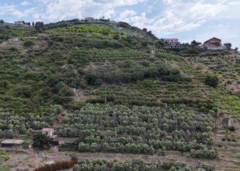 drone - Terreno agricolo Via Anacleto Hughes 22/A, Ventimiglia - foto 23