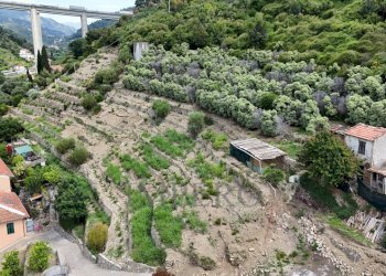 drone - Terreno agricolo Via Anacleto Hughes 22/A, Ventimiglia - foto 25