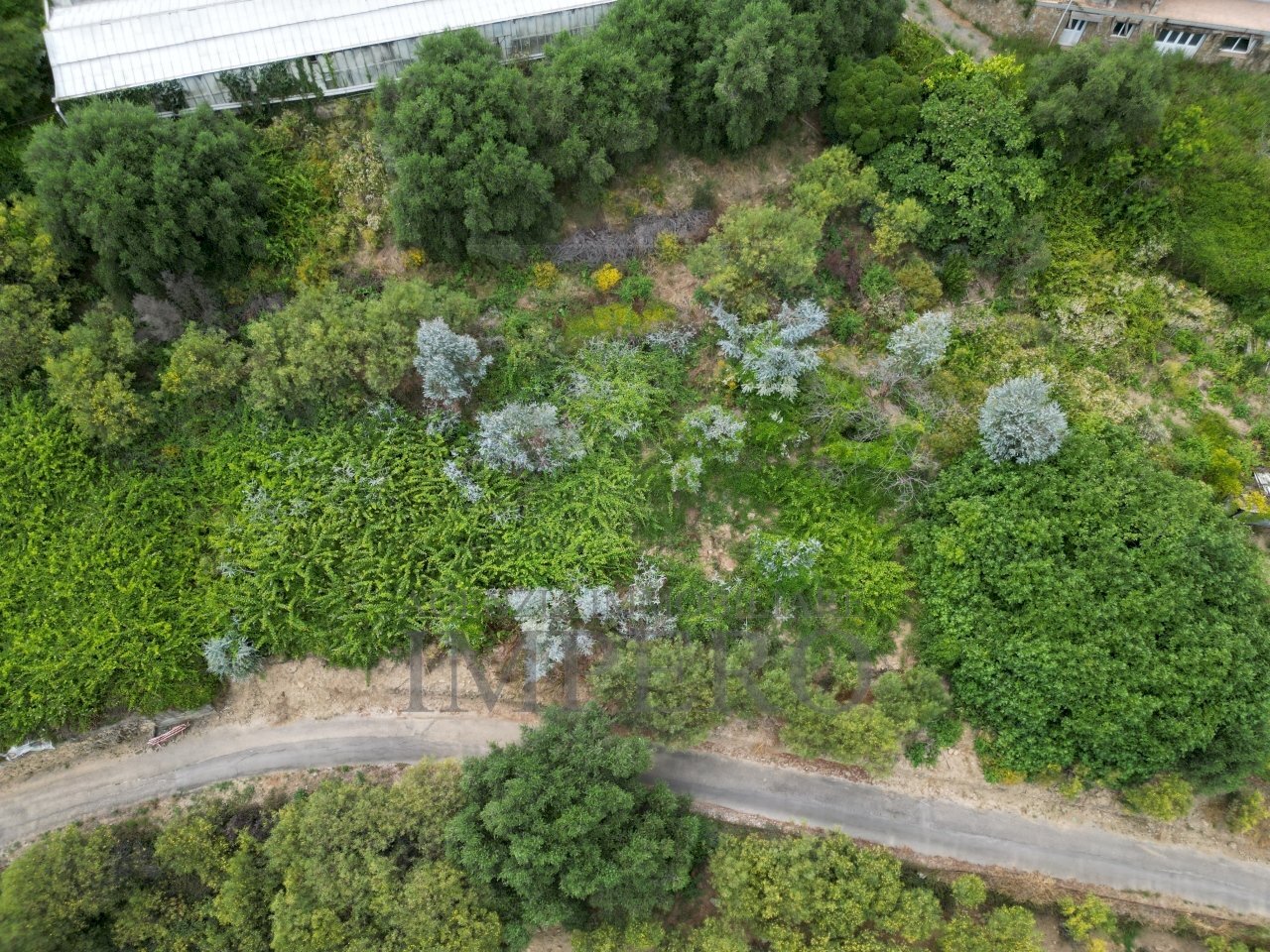 DJI_0247.JPG - Agricultural land Via delle Otto Case 1, Ventimiglia - photo 1