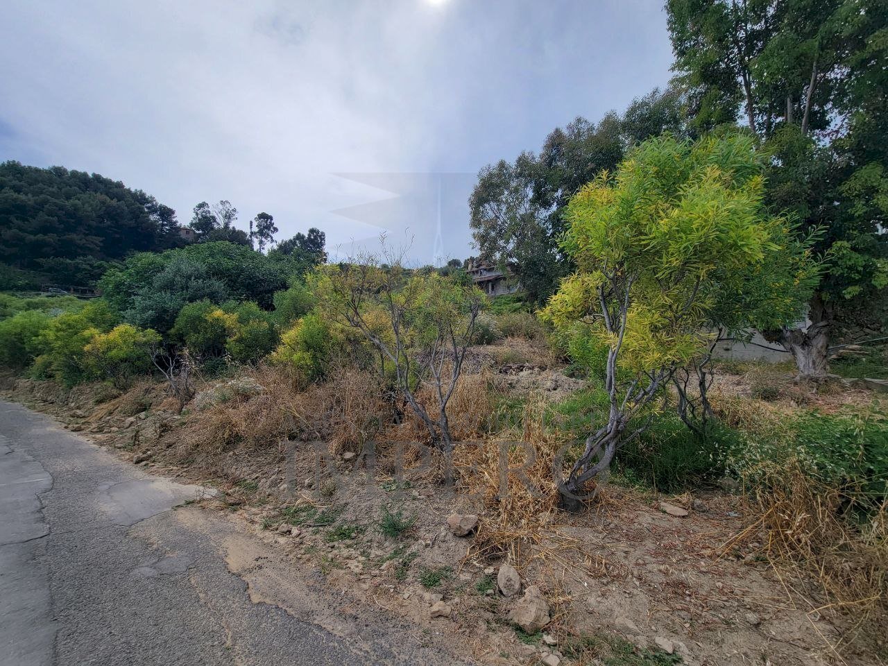 0ed301c8-cfcf-49e7-8332-8f8392182fab.jpeg - Agricultural land Via delle Otto Case 1, Ventimiglia - photo 3